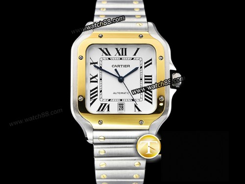 Cartier Santos De Cartier Automatic WSSA0010 Mens Watch,CAR-02033